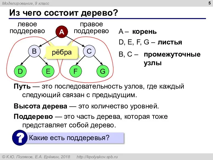 Из чего состоит дерево? A – D, E, F, G –