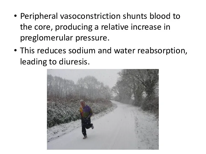 Peripheral vasoconstriction shunts blood to the core, producing a relative increase