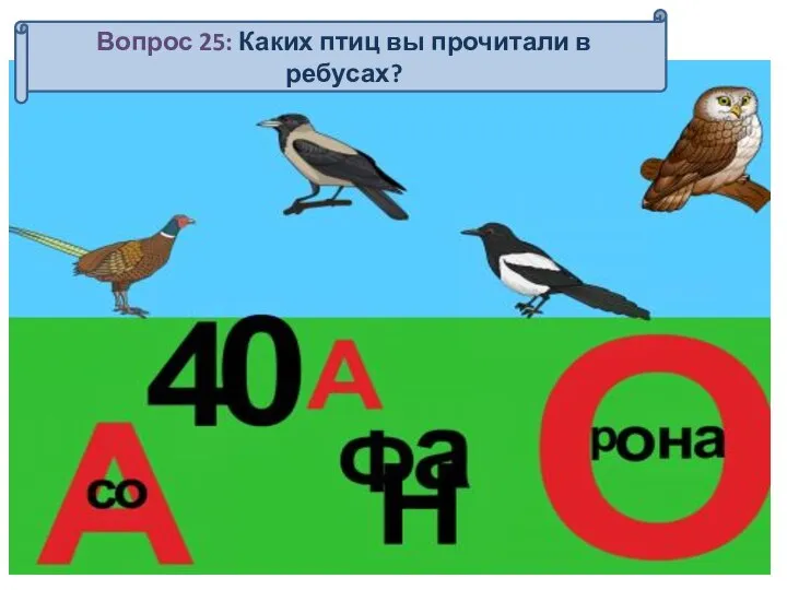 Вопрос 25: Каких птиц вы прочитали в ребусах?