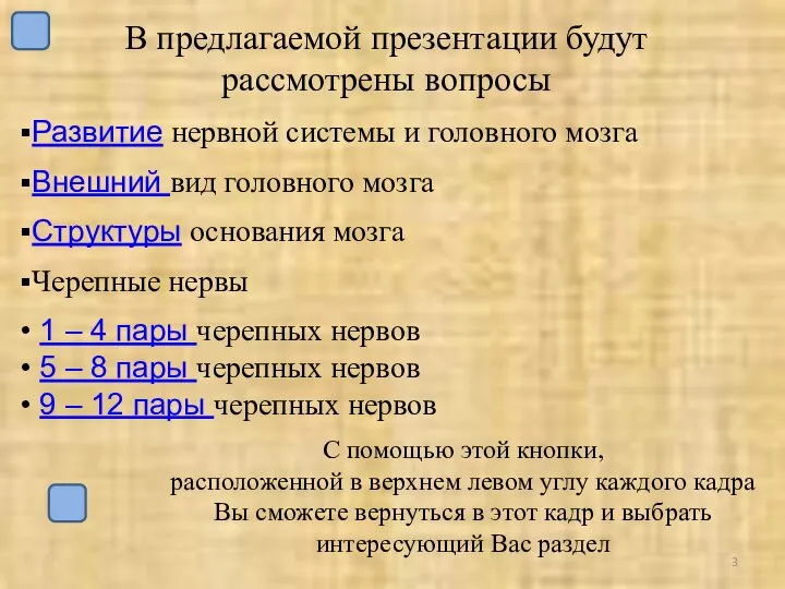 В предлагаемой презентации будут рассмотрены вопросы Развитие нервной системы и головного