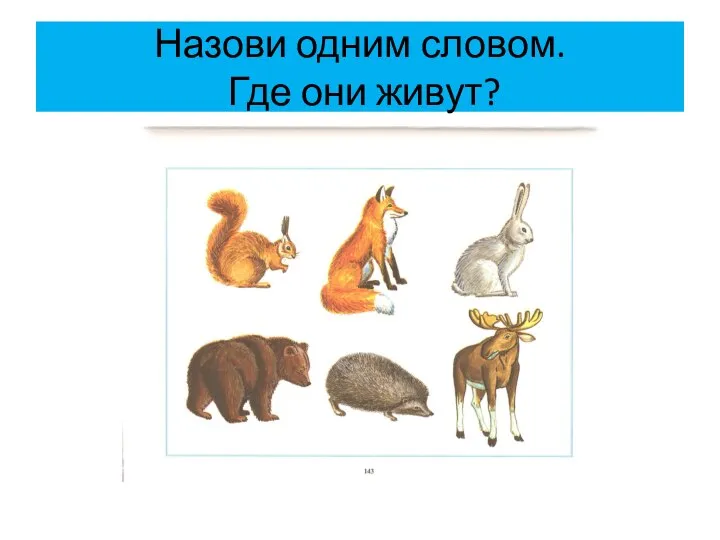 Назови одним словом. Где они живут?