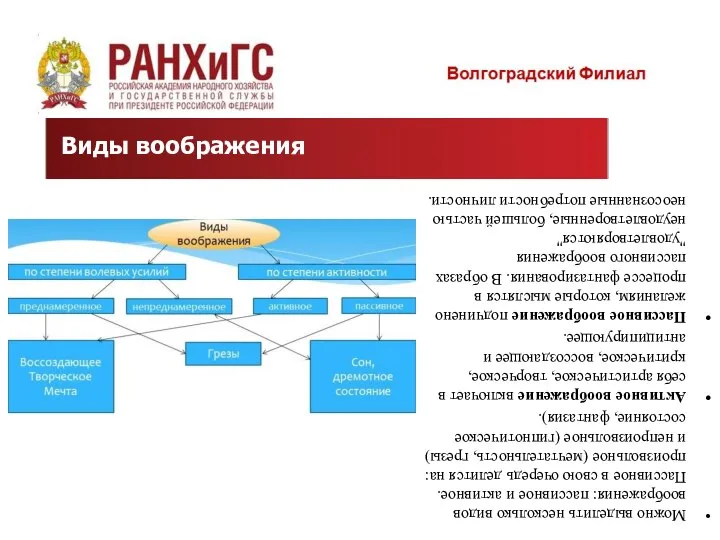 Можно выделить несколько видов воображения: пассивное и активное. Пассивное в свою