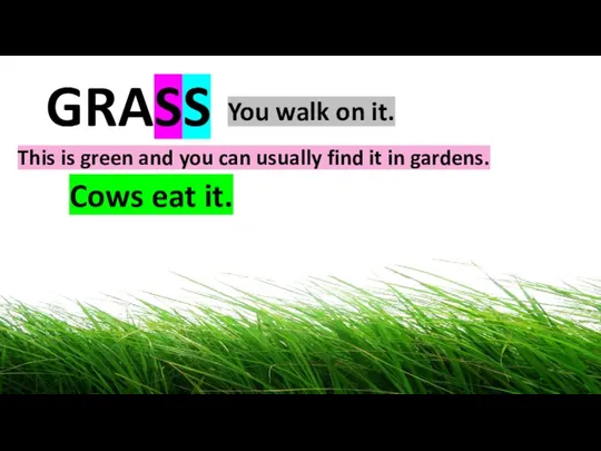 GRASS You walk on it. This is green and you can