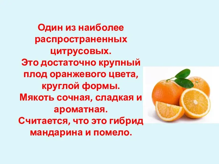 Один из наиболее распространенных цитрусовых. Это достаточно крупный плод оранжевого цвета,