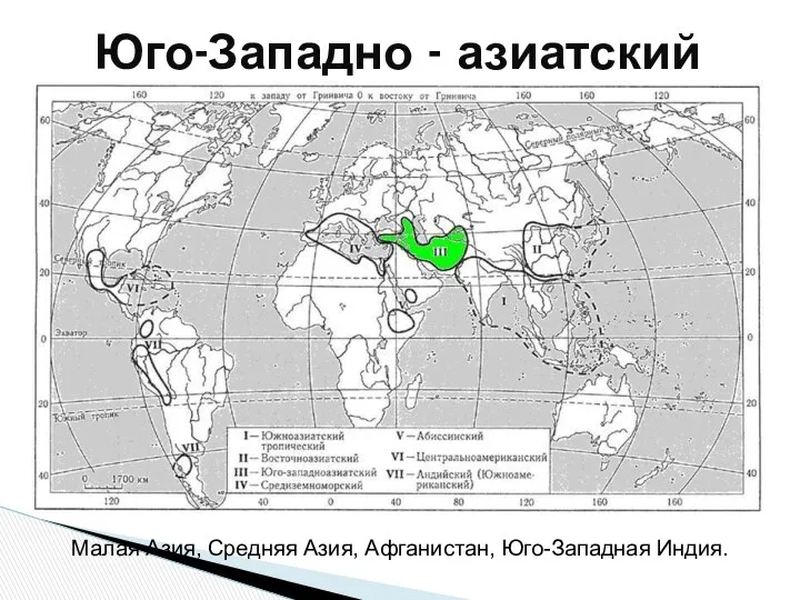 Юго-Западно - азиатский Малая Азия, Средняя Азия, Афганистан, Юго-Западная Индия.