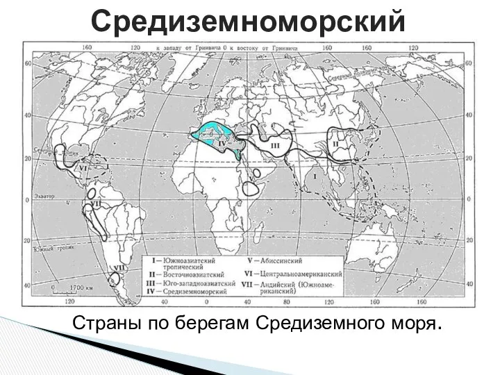 Средиземноморский Страны по берегам Средиземного моря.