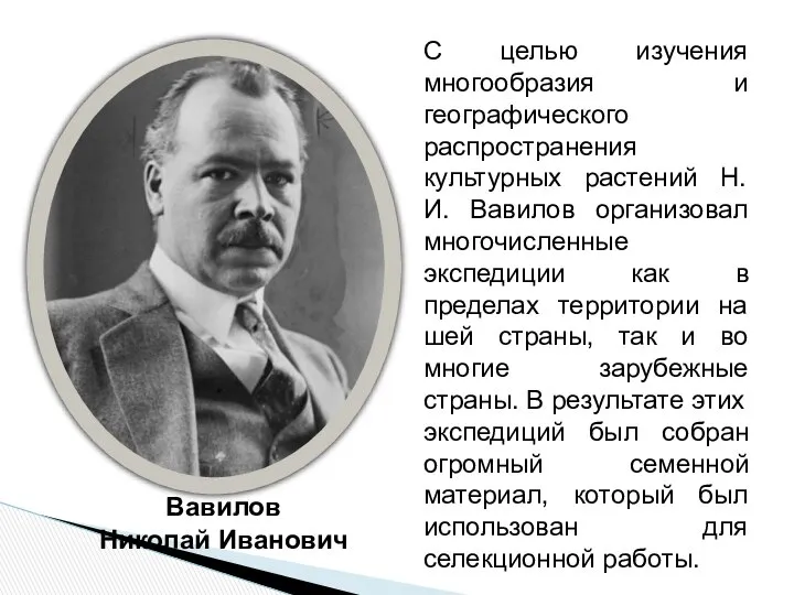 Вавилов Николай Иванович С целью изучения многообразия и географического распространения культурных