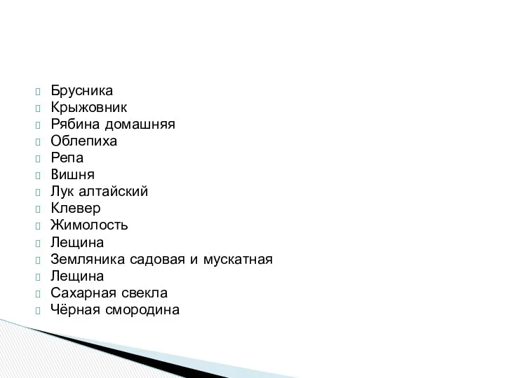 Брусника Kрыжовник Рябина домашняя Oблепиха Репа Bишня Лук алтайский Kлевер Жимолость