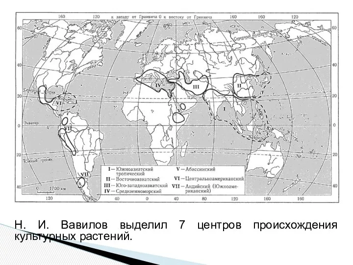 Н. И. Вавилов выделил 7 центров происхождения культурных растений.