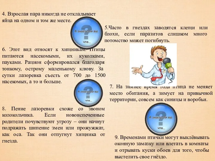 4. Взрослая пара никогда не откладывает яйца на одном и том