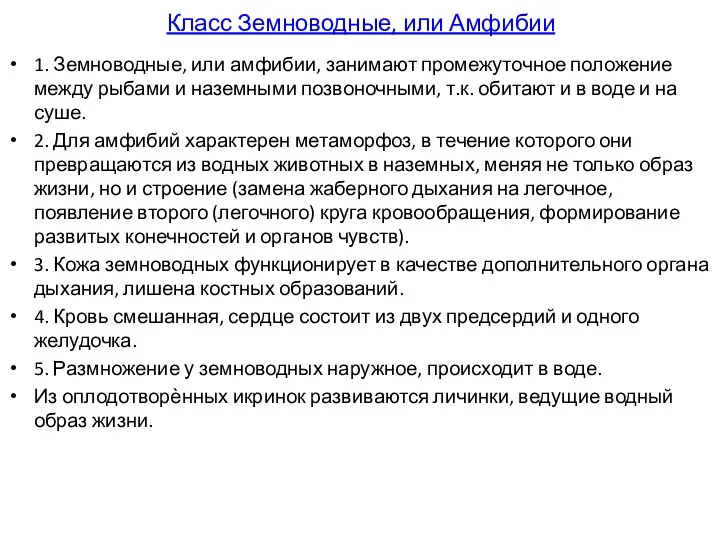 Класс Земноводные, или Амфибии 1. Земноводные, или амфибии, занимают промежуточное положение