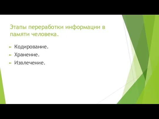 Этапы переработки информации в памяти человека. Кодирование. Хранение. Извлечение.