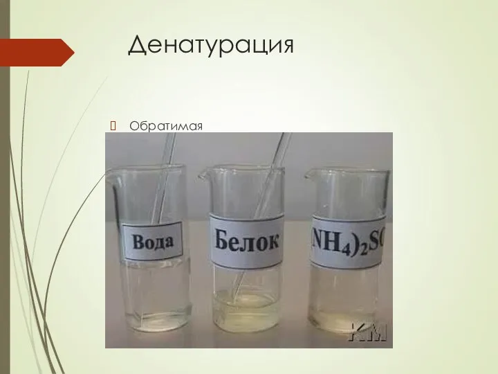 Денатурация Обратимая