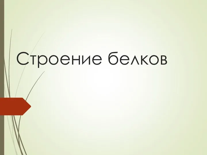 Строение белков