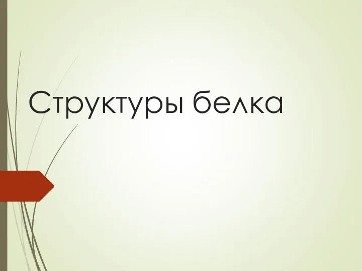 Структуры белка