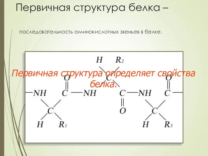 Первичная структура белка – последовательность аминокислотных звеньев в белке. Первичная структура определяет свойства белка.