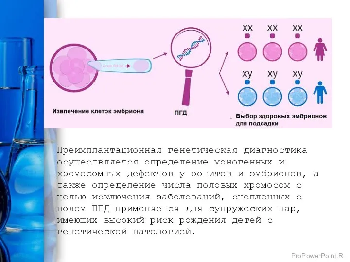 Преимплантационная генетическая диагностика осуществляется определение моногенных и хромосомных дефектов у ооцитов