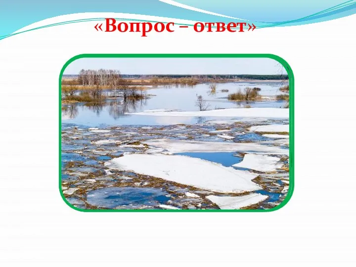 «Вопрос – ответ»