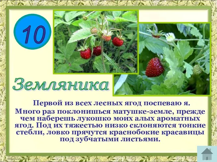 10 Первой из всех лесных ягод поспеваю я. Много раз поклонишься