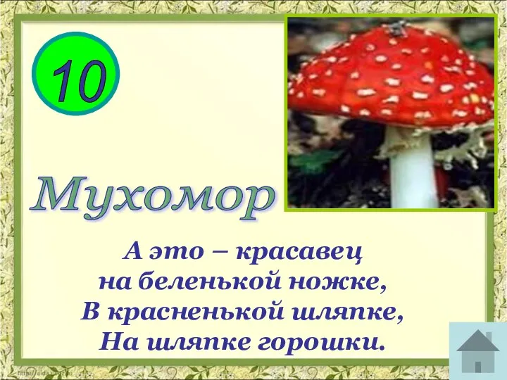 10 А это – красавец на беленькой ножке, В красненькой шляпке, На шляпке горошки. Мухомор