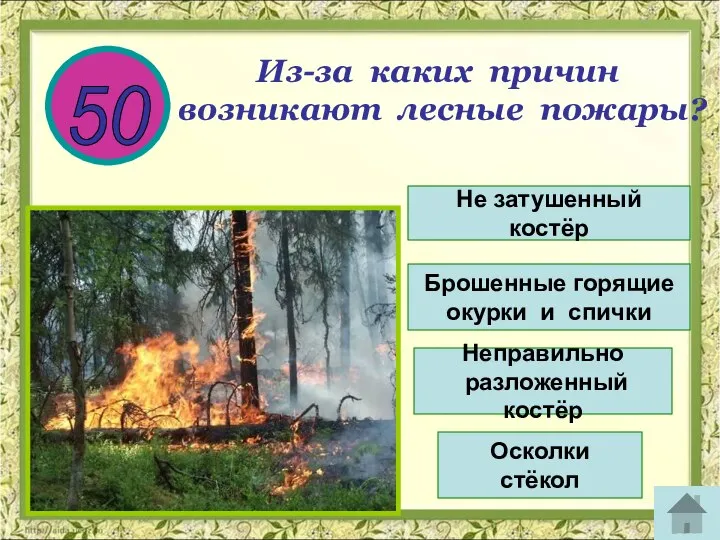 50 Из-за каких причин возникают лесные пожары? Не затушенный костёр Брошенные