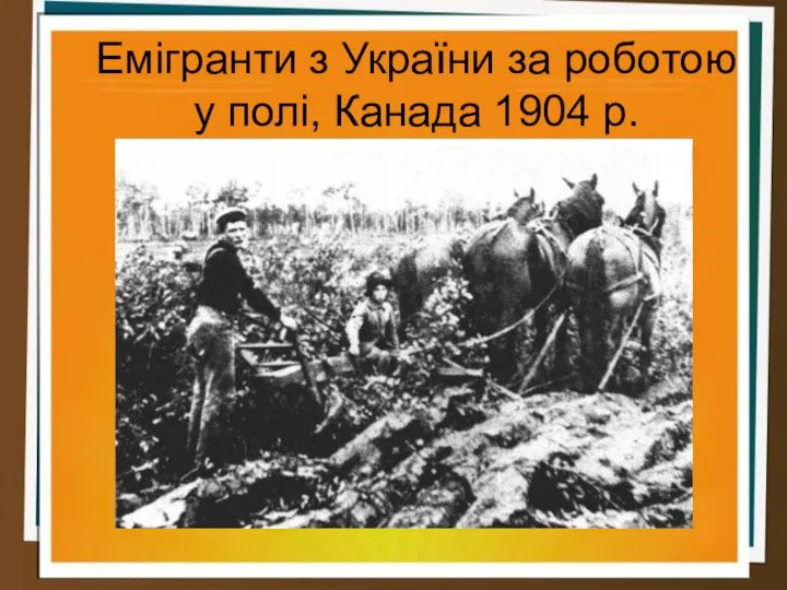 Емігранти з України за роботою у полі, Канада 1904 р.