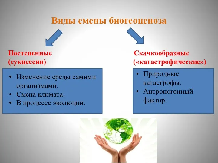 Виды смены биогеоценоза Постепенные Скачкообразные (сукцессии) («катастрофические») Изменение среды самими организмами.