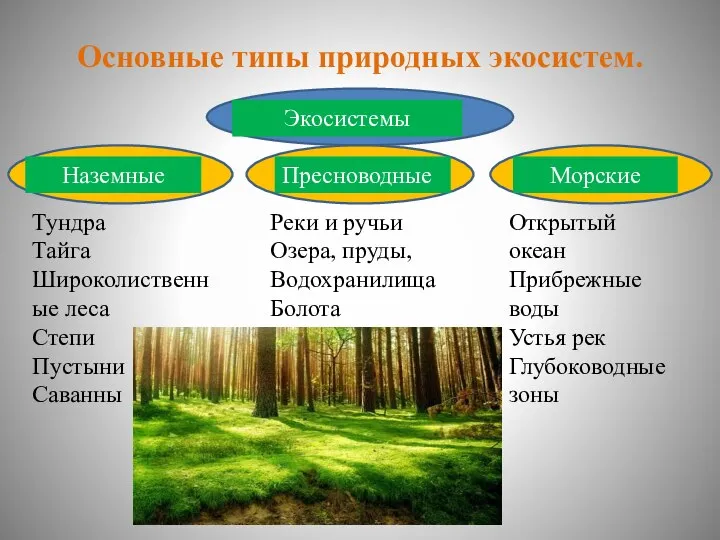 Основные типы природных экосистем. Экосистемы Наземные Пресноводные Морские Тундра Тайга Широколиственные