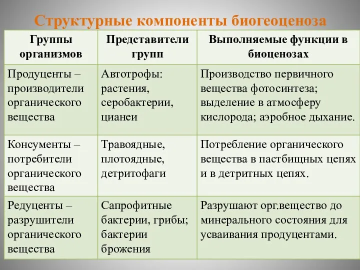 Структурные компоненты биогеоценоза