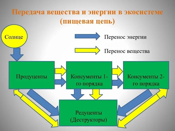 Передача вещества и энергии в экосистеме (пищевая цепь) Солнце Продуценты Консументы