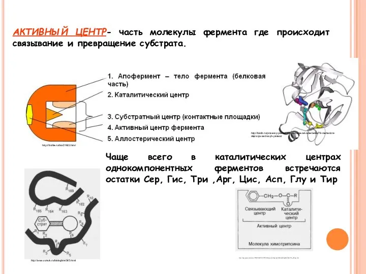 АКТИВНЫЙ ЦЕНТР- часть молекулы фермента где происходит связывание и превращение субстрата.