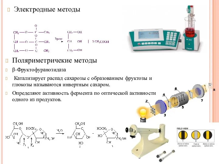 Электродные методы Поляриметричекие методы β-Фруктофуранозидаза Катализирует распад сахарозы с образованием фруктозы