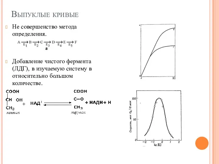 Выпуклые кривые Не совершенство метода определения. Добавление чистого фермента (ЛДГ), в