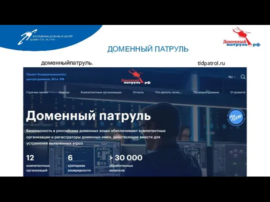 ДОМЕННЫЙ ПАТРУЛЬ tldpatrol.ru доменныйпатруль.рф