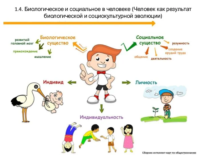 1.4. Биологическое и социальное в человеке (Человек как результат биологической и социокультурной эволюции)