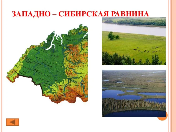 ЗАПАДНО – СИБИРСКАЯ РАВНИНА