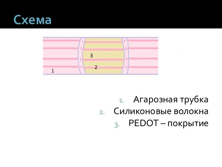 Схема Агарозная трубка Силиконовые волокна PEDOT – покрытие