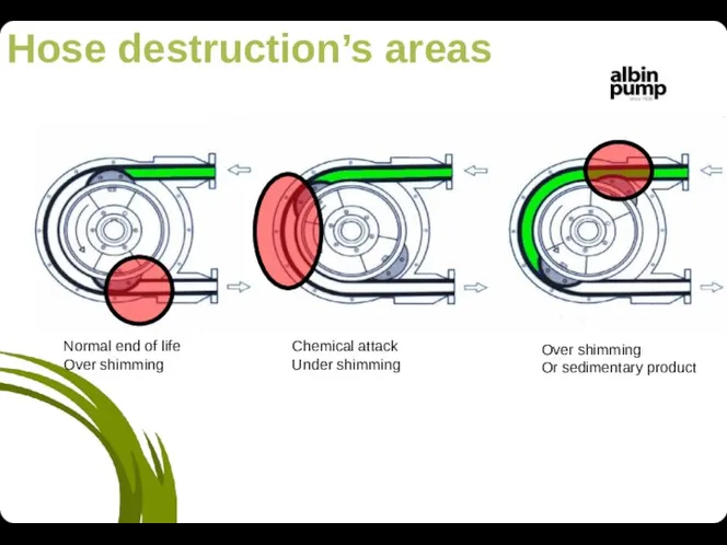 Hose destruction’s areas Normal end of life Over shimming Chemical attack