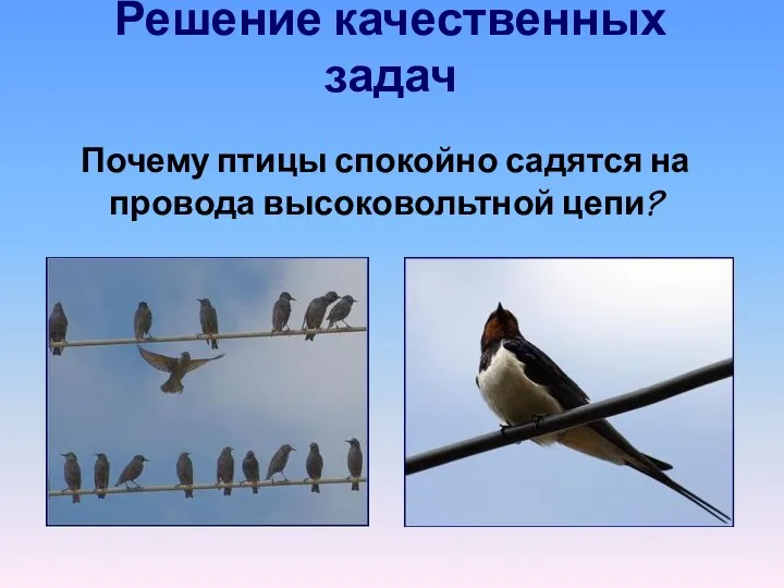 Решение качественных задач Почему птицы спокойно садятся на провода высоковольтной цепи?