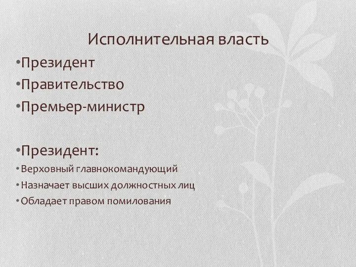 Исполнительная власть Президент Правительство Премьер-министр Президент: Верховный главнокомандующий Назначает высших должностных лиц Обладает правом помилования