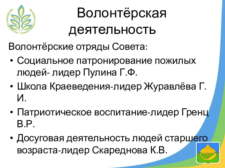 Волонтёрская деятельность Волонтёрские отряды Совета: Социальное патронирование пожилых людей- лидер Пулина