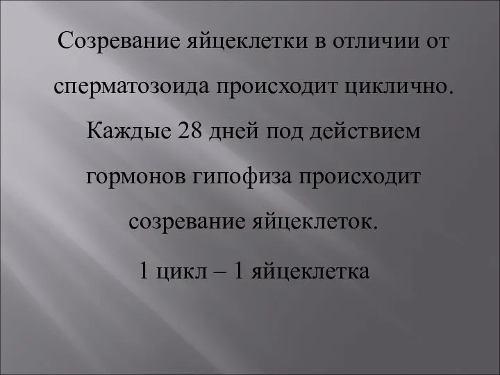 Созревание яйцеклетки в отличии от сперматозоида происходит циклично. Каждые 28 дней