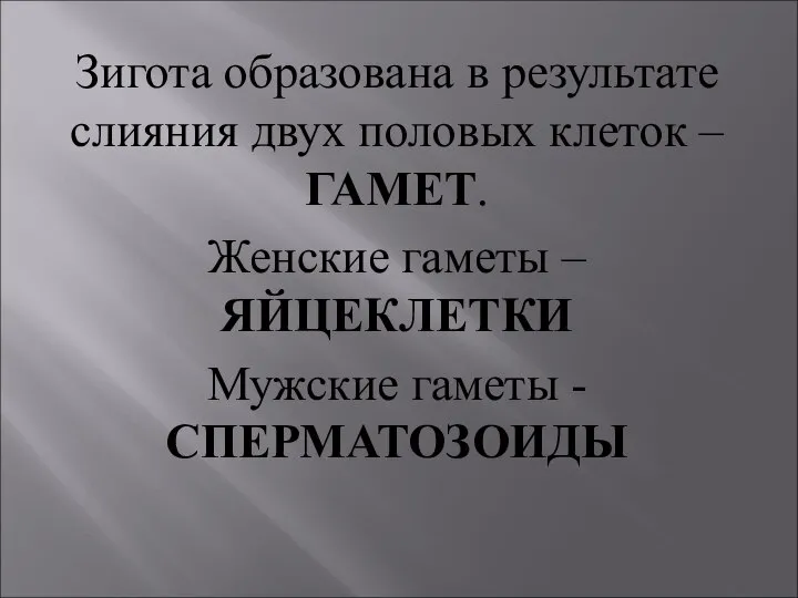 Зигота образована в результате слияния двух половых клеток – ГАМЕТ. Женские