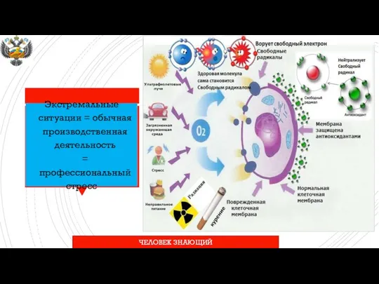 Экстремальные ситуации = обычная производственная деятельность = профессиональный стресс ЧЕЛОВЕК ЗНАЮЩИЙ