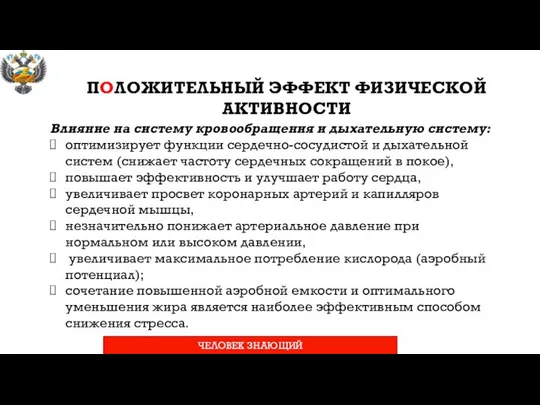 Влияние на систему кровообращения и дыхательную систему: оптимизирует функции сердечно-сосудистой и