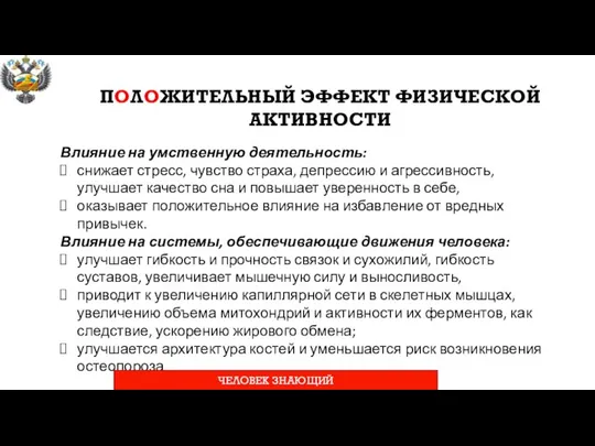 ПОЛОЖИТЕЛЬНЫЙ ЭФФЕКТ ФИЗИЧЕСКОЙ АКТИВНОСТИ Влияние на умственную деятельность: снижает стресс, чувство