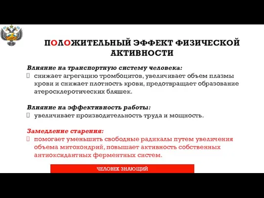 ПОЛОЖИТЕЛЬНЫЙ ЭФФЕКТ ФИЗИЧЕСКОЙ АКТИВНОСТИ Влияние на транспортную систему человека: снижает агрегацию