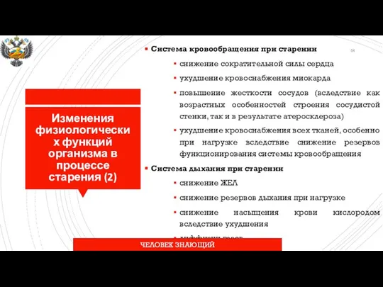 Изменения физиологических функций организма в процессе старения (2) Система кровообращения при