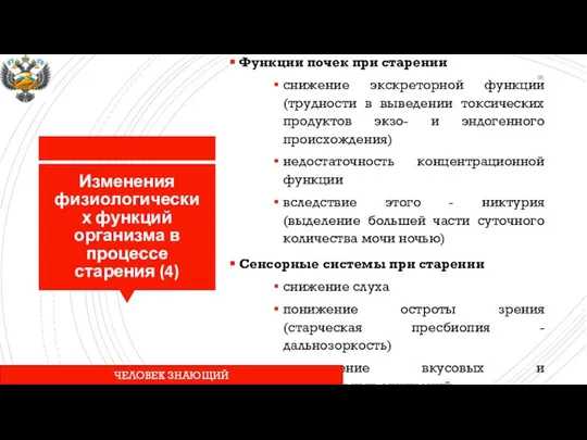 Изменения физиологических функций организма в процессе старения (4) Функции почек при