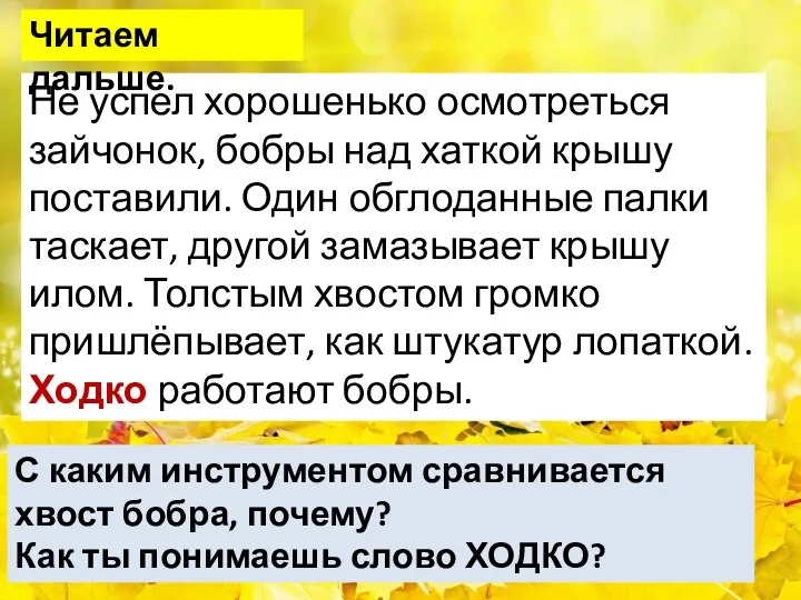 Не успел хорошенько осмотреться зайчонок, бобры над хаткой крышу поставили. Один